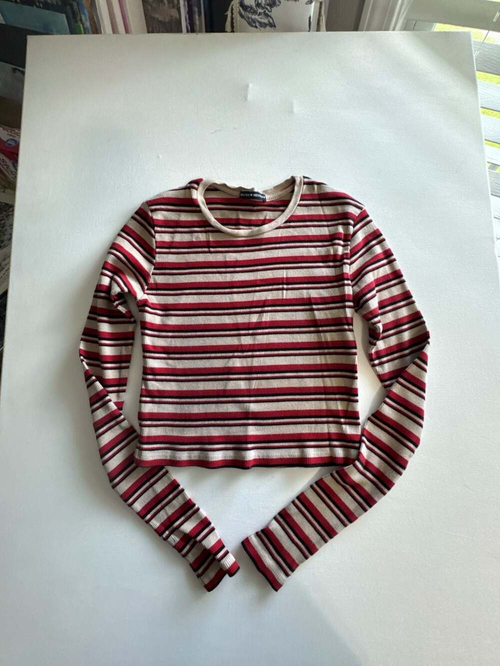 Brandy Melville Striped Long Sleeve Crew Neck Cropped Top